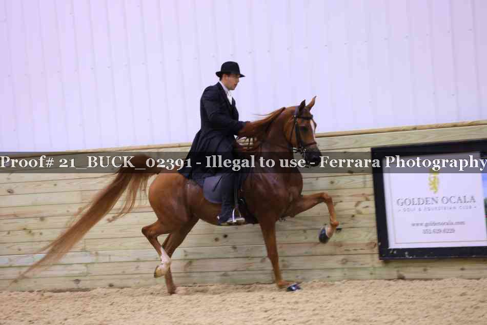 Proof 21_BUCK_02391