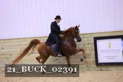 21_BUCK_02391 proof