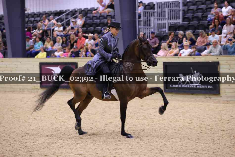 Proof 21_BUCK_02392