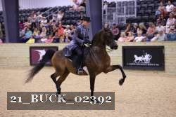 21_BUCK_02392 proof