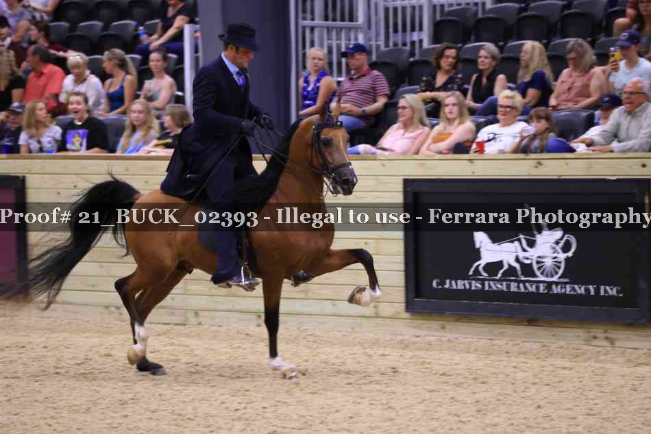 Proof 21_BUCK_02393