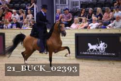 21_BUCK_02393 proof