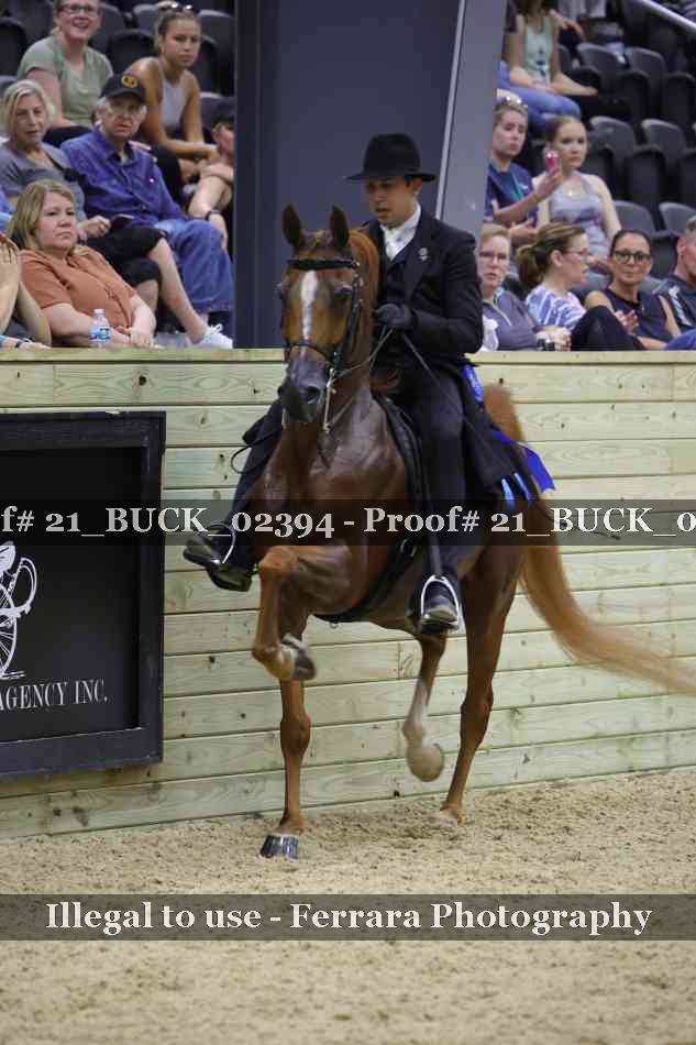 Proof 21_BUCK_02394