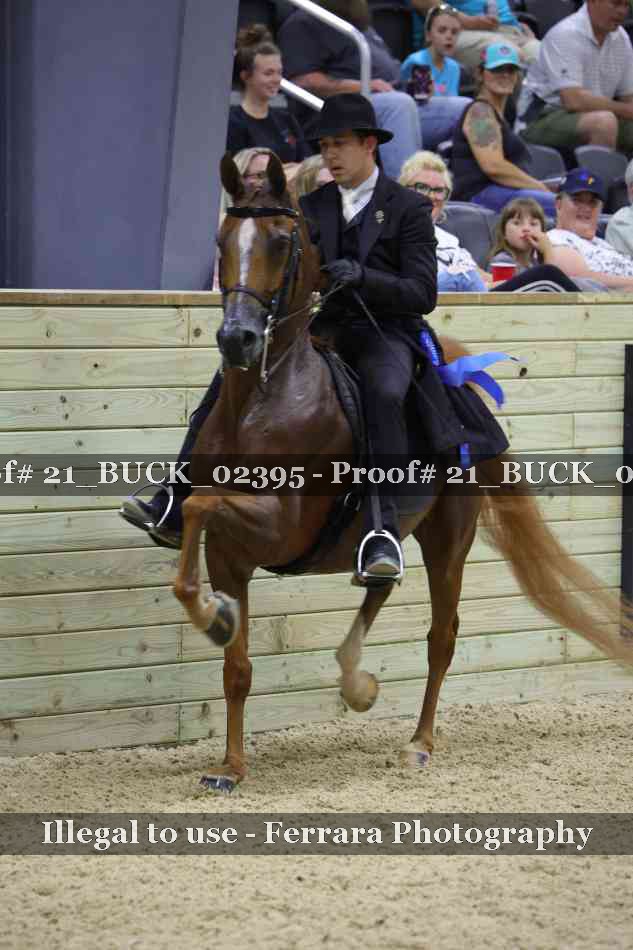 Proof 21_BUCK_02395