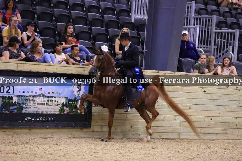 Proof 21_BUCK_02396