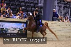 21_BUCK_02396 proof
