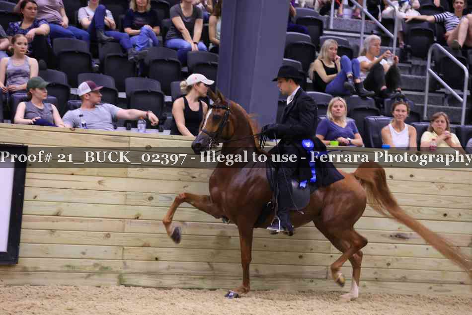 Proof 21_BUCK_02397