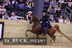 21_BUCK_02397 proof