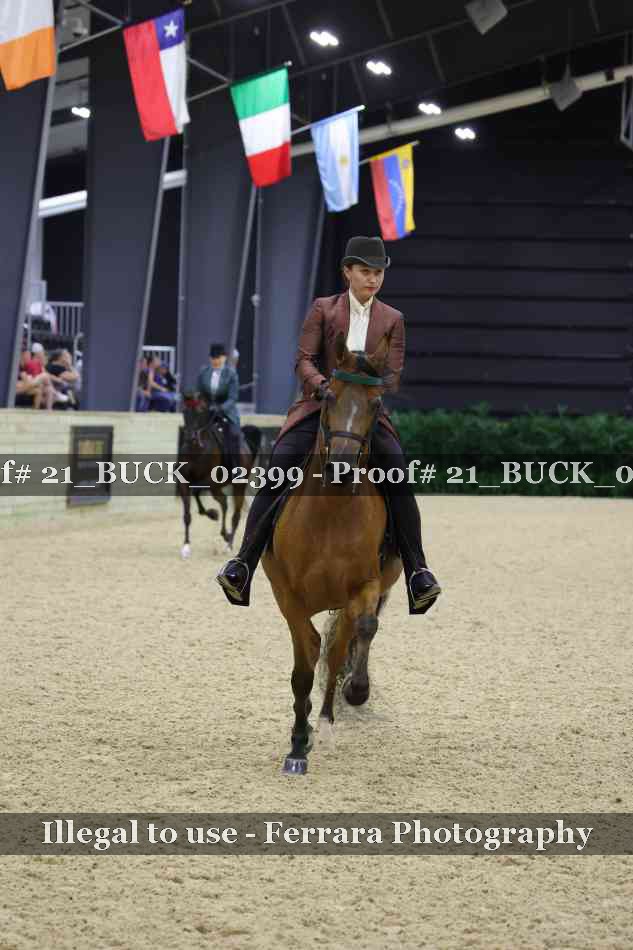 Proof 21_BUCK_02399