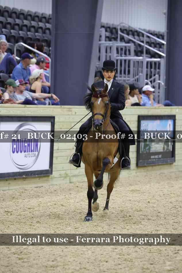 Proof 21_BUCK_02403