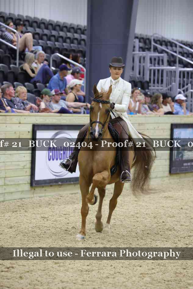 Proof 21_BUCK_02404