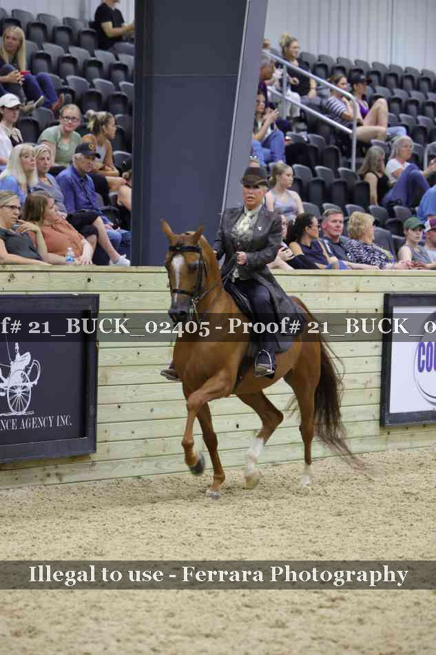 Proof 21_BUCK_02405