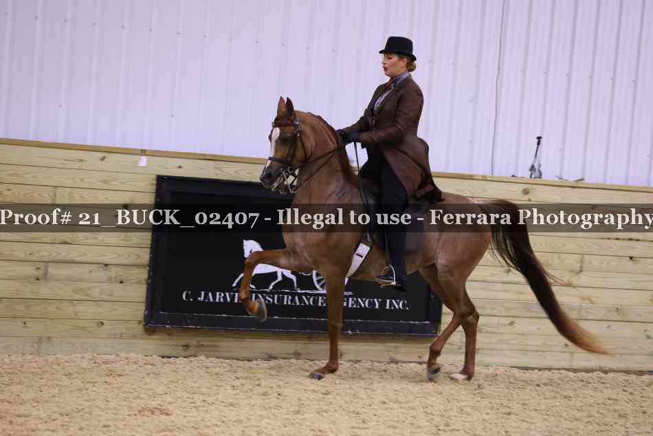 Proof 21_BUCK_02407