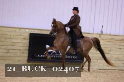 21_BUCK_02407 proof