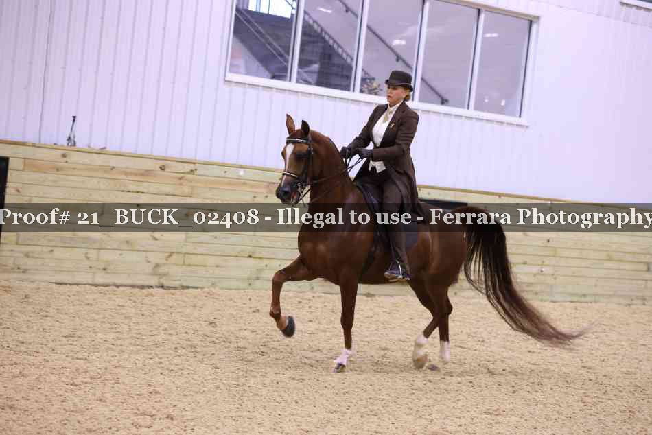 Proof 21_BUCK_02408