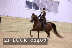 21_BUCK_02408 proof