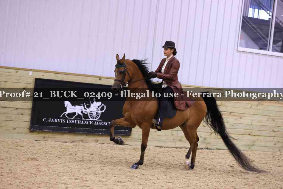 Proof 21_BUCK_02409