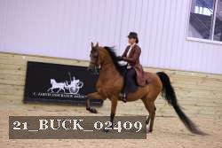 21_BUCK_02409 proof