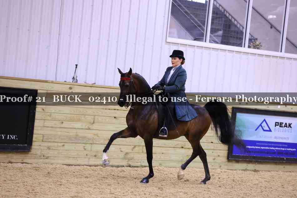 Proof 21_BUCK_02410