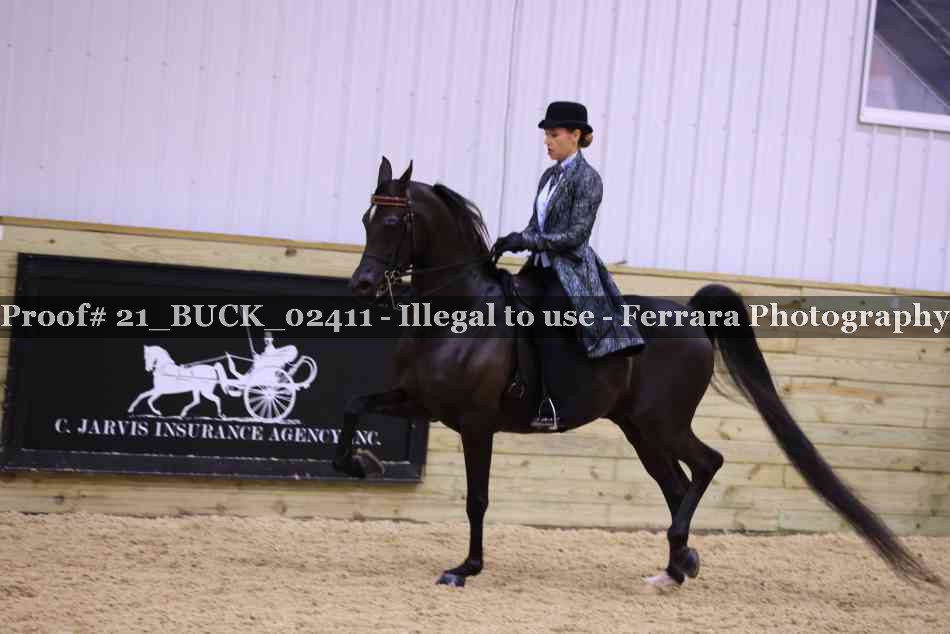 Proof 21_BUCK_02411