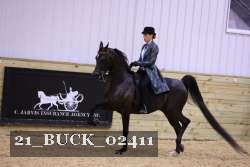 21_BUCK_02411 proof