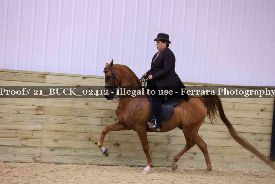 Proof 21_BUCK_02412