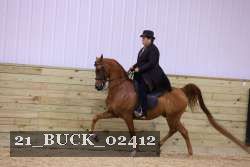 21_BUCK_02412 proof