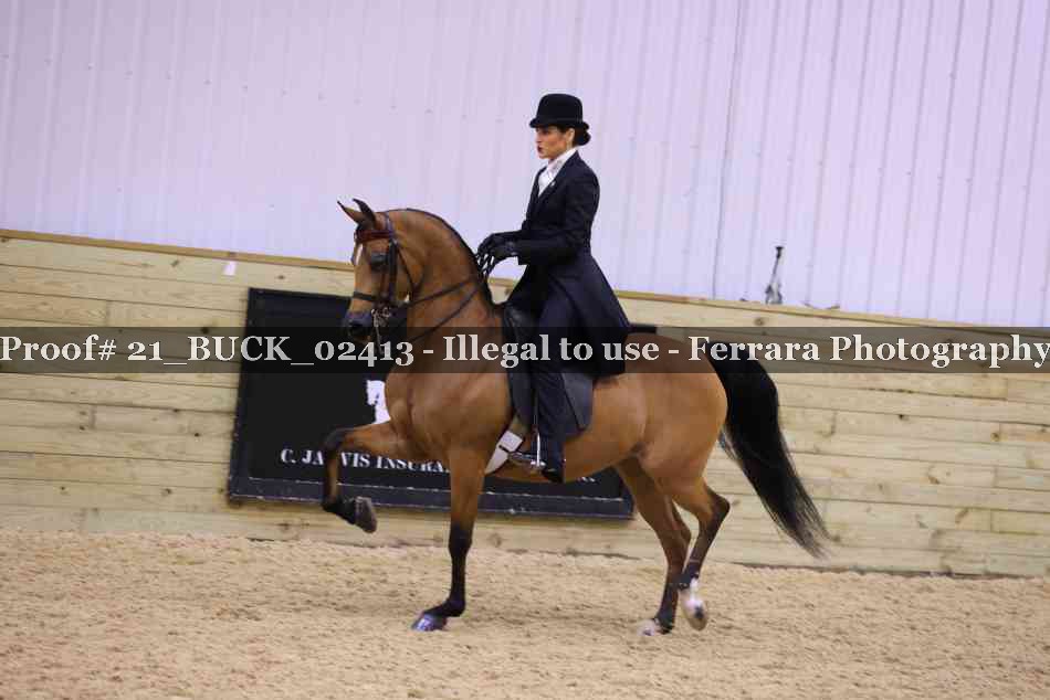 Proof 21_BUCK_02413