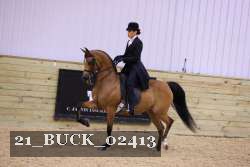 21_BUCK_02413 proof