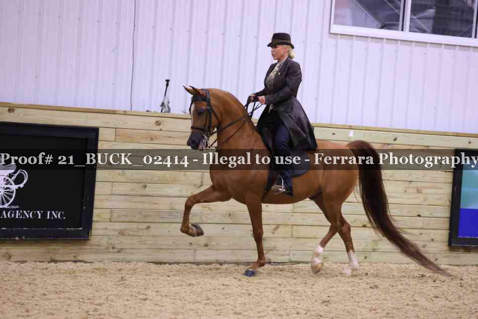 Proof 21_BUCK_02414