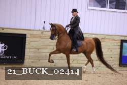 21_BUCK_02414 proof