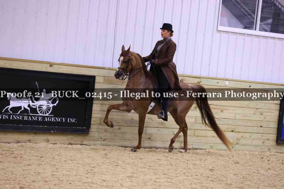 Proof 21_BUCK_02415