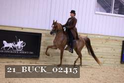 21_BUCK_02415 proof
