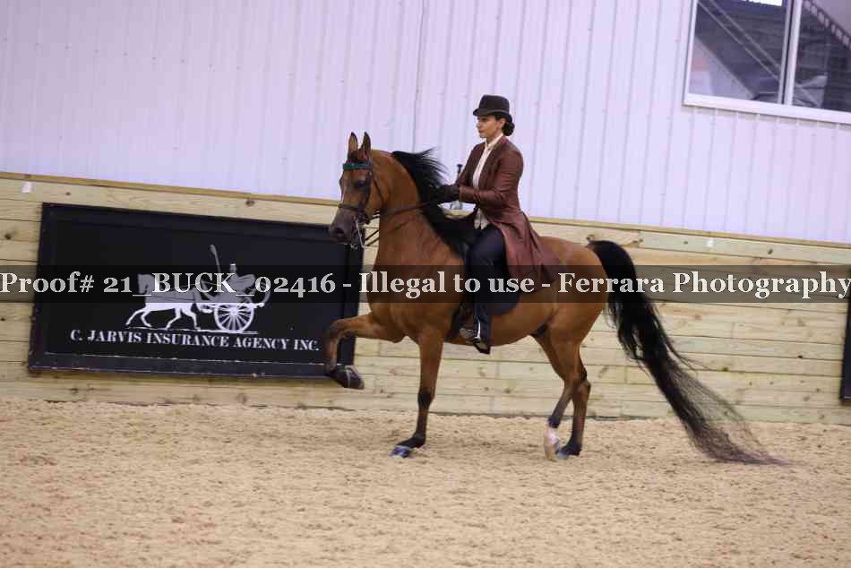 Proof 21_BUCK_02416