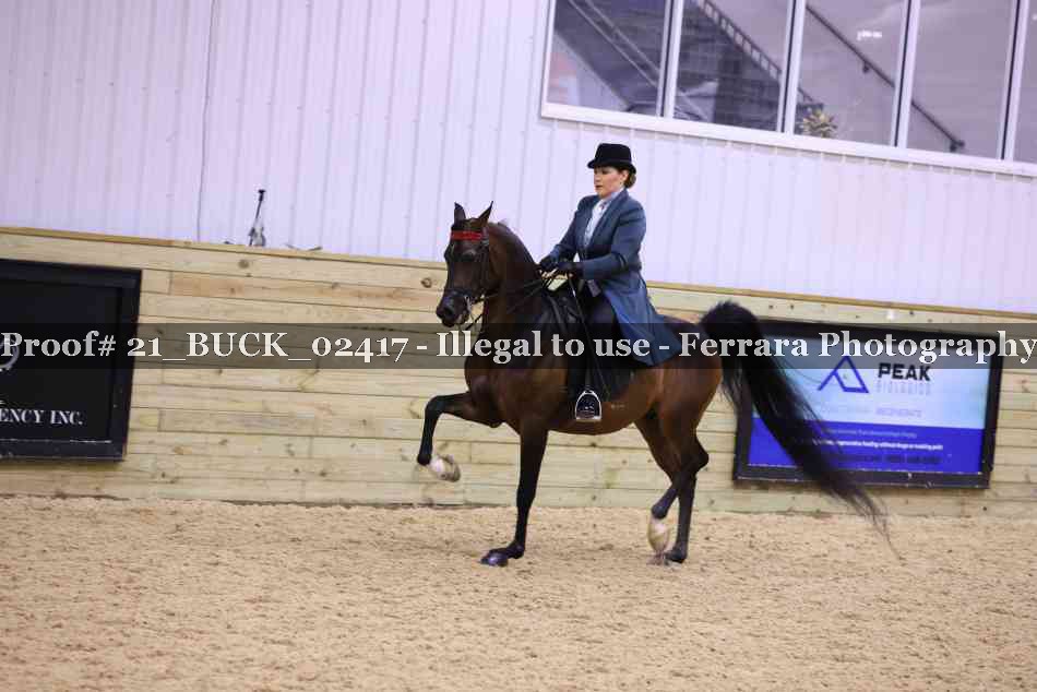 Proof 21_BUCK_02417