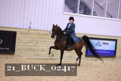 21_BUCK_02417 proof