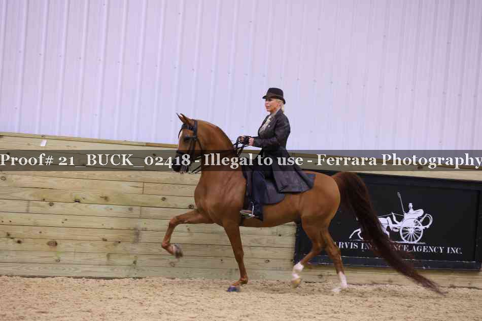 Proof 21_BUCK_02418
