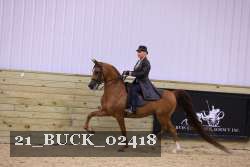21_BUCK_02418 proof