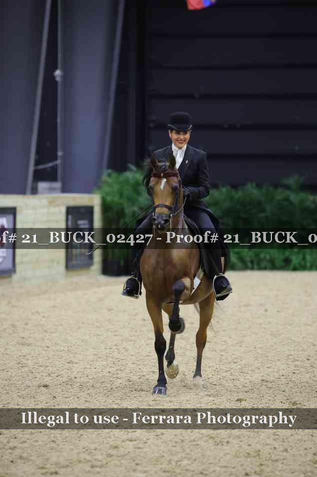 Proof 21_BUCK_02427