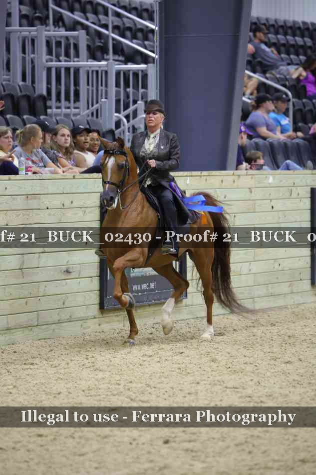 Proof 21_BUCK_02430
