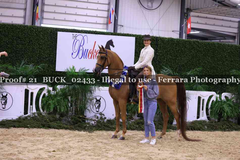 Proof 21_BUCK_02433
