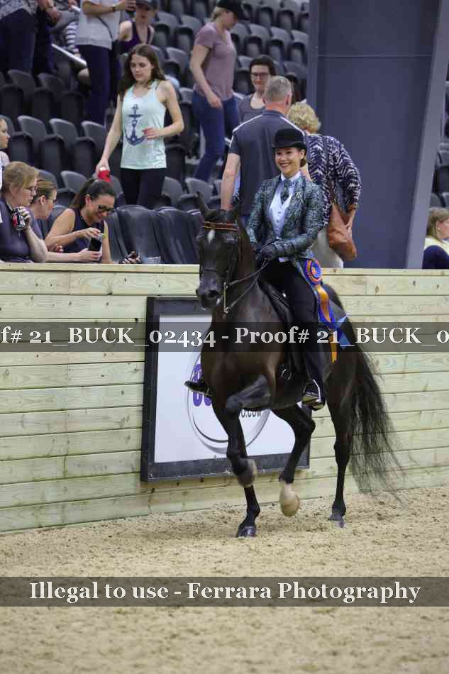 Proof 21_BUCK_02434
