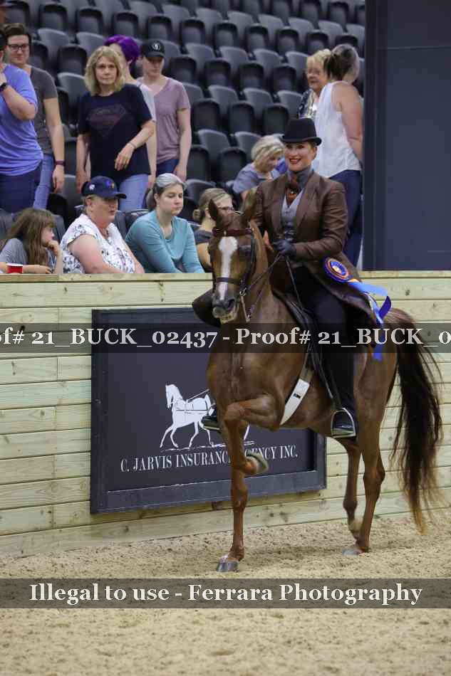 Proof 21_BUCK_02437