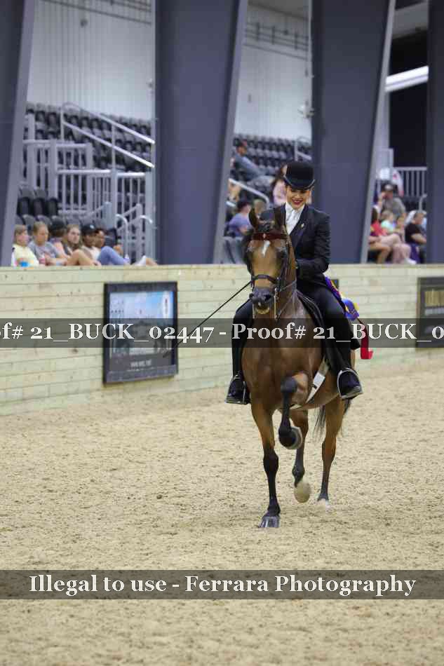 Proof 21_BUCK_02447