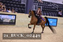 21_BUCK_02449 proof