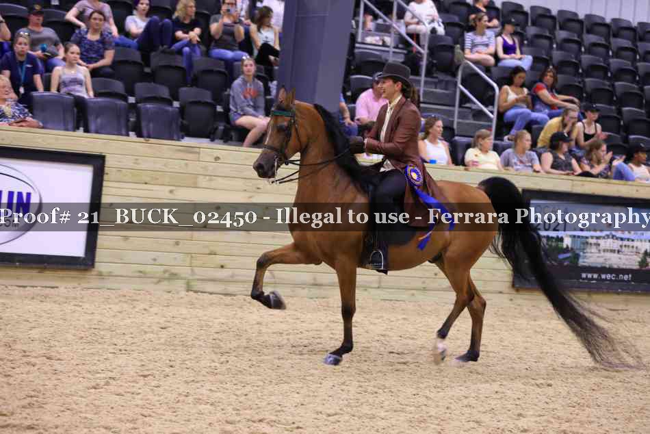 Proof 21_BUCK_02450