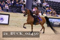 21_BUCK_02450 proof