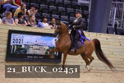 21_BUCK_02451 proof