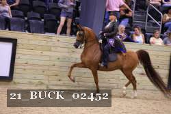 21_BUCK_02452 proof