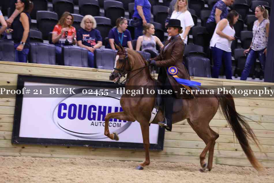 Proof 21_BUCK_02455